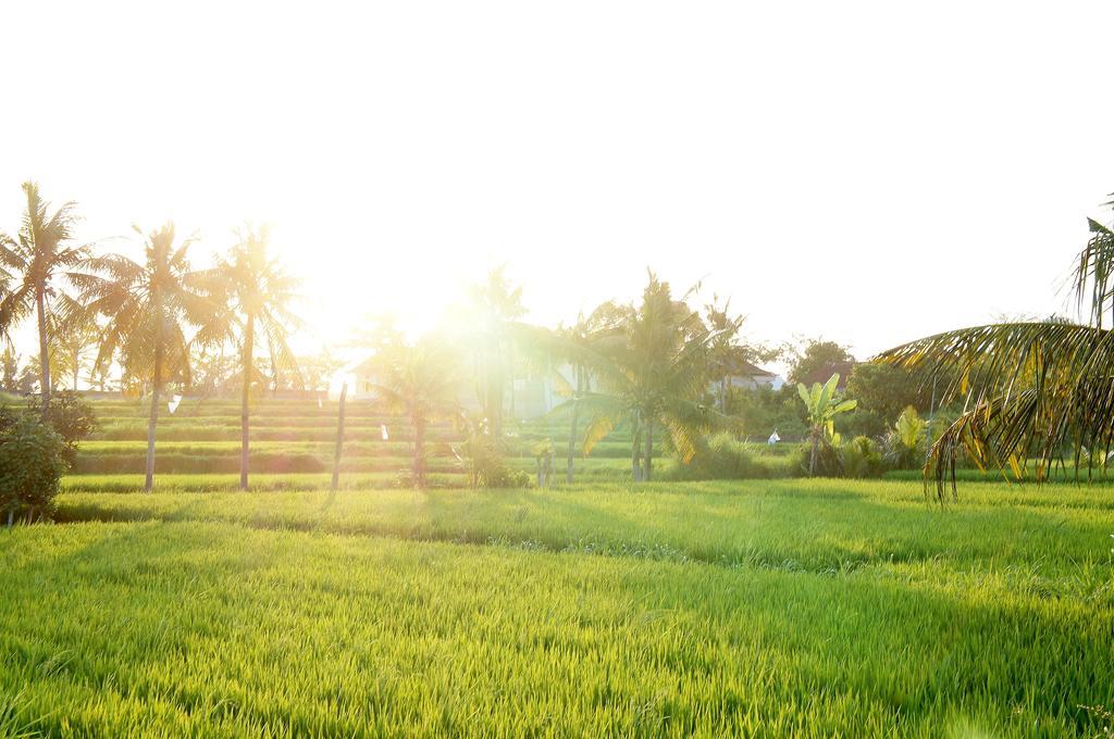 Barn N Bunk Gianyar (Bali) Exterior photo