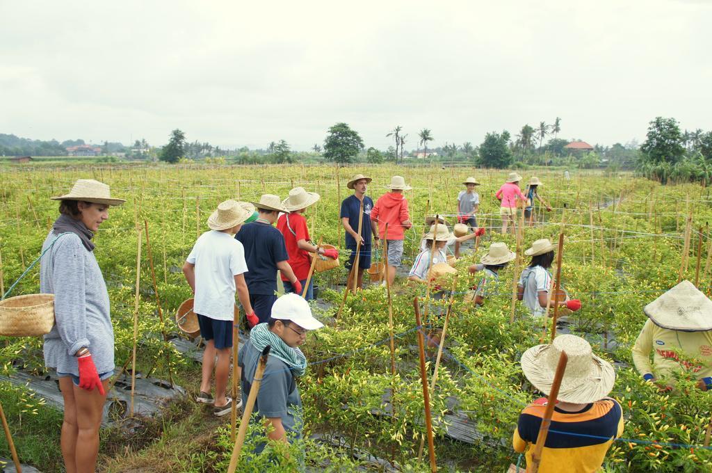 Barn N Bunk Gianyar (Bali) Exterior photo
